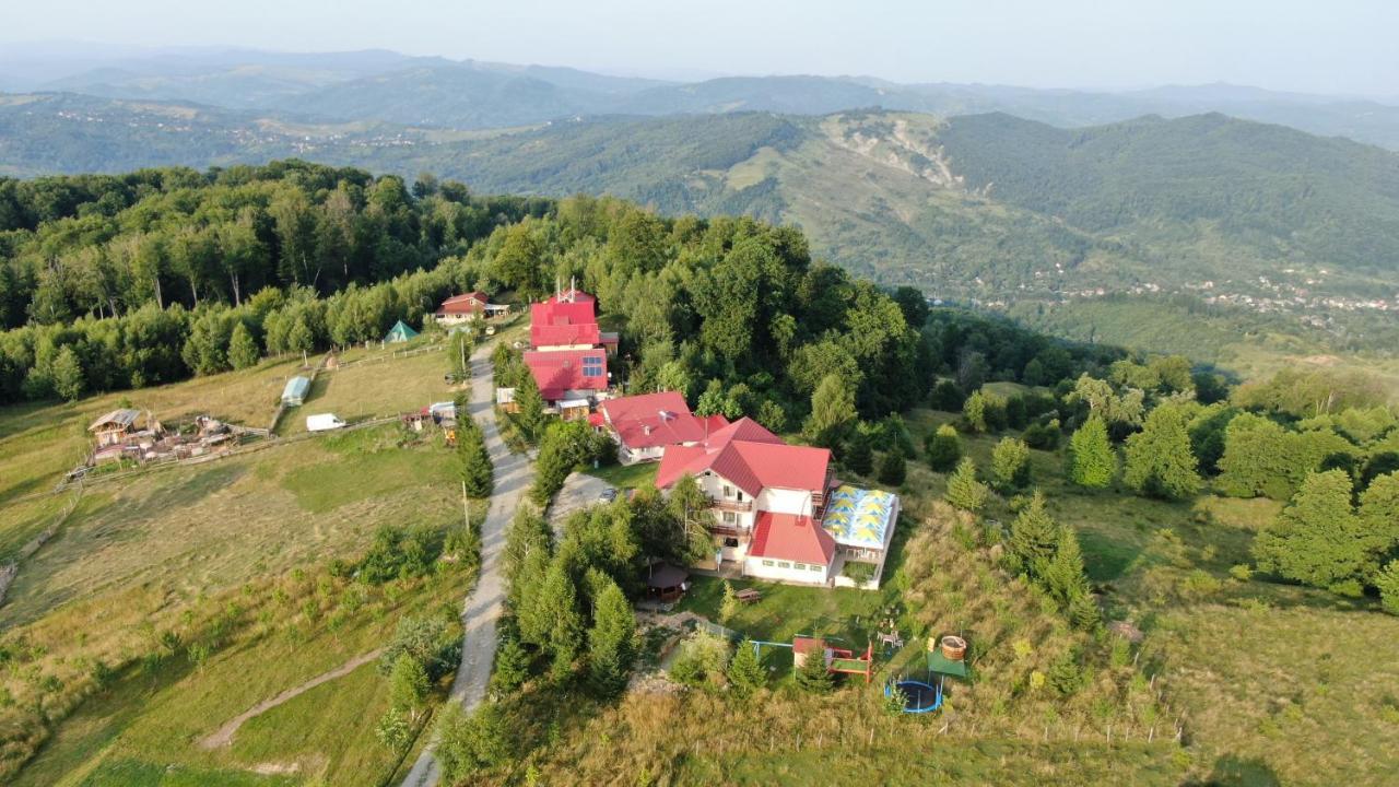 Pensiune Runcu Stone Kültér fotó