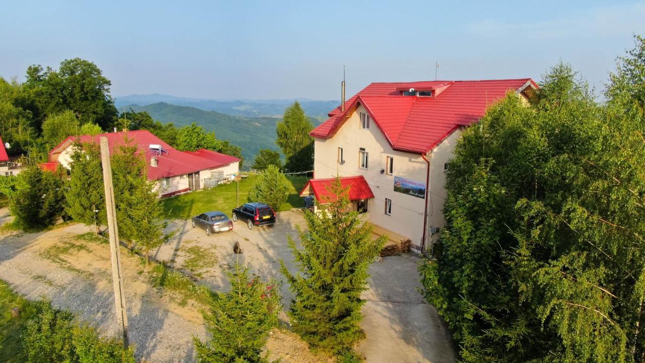 Pensiune Runcu Stone Kültér fotó