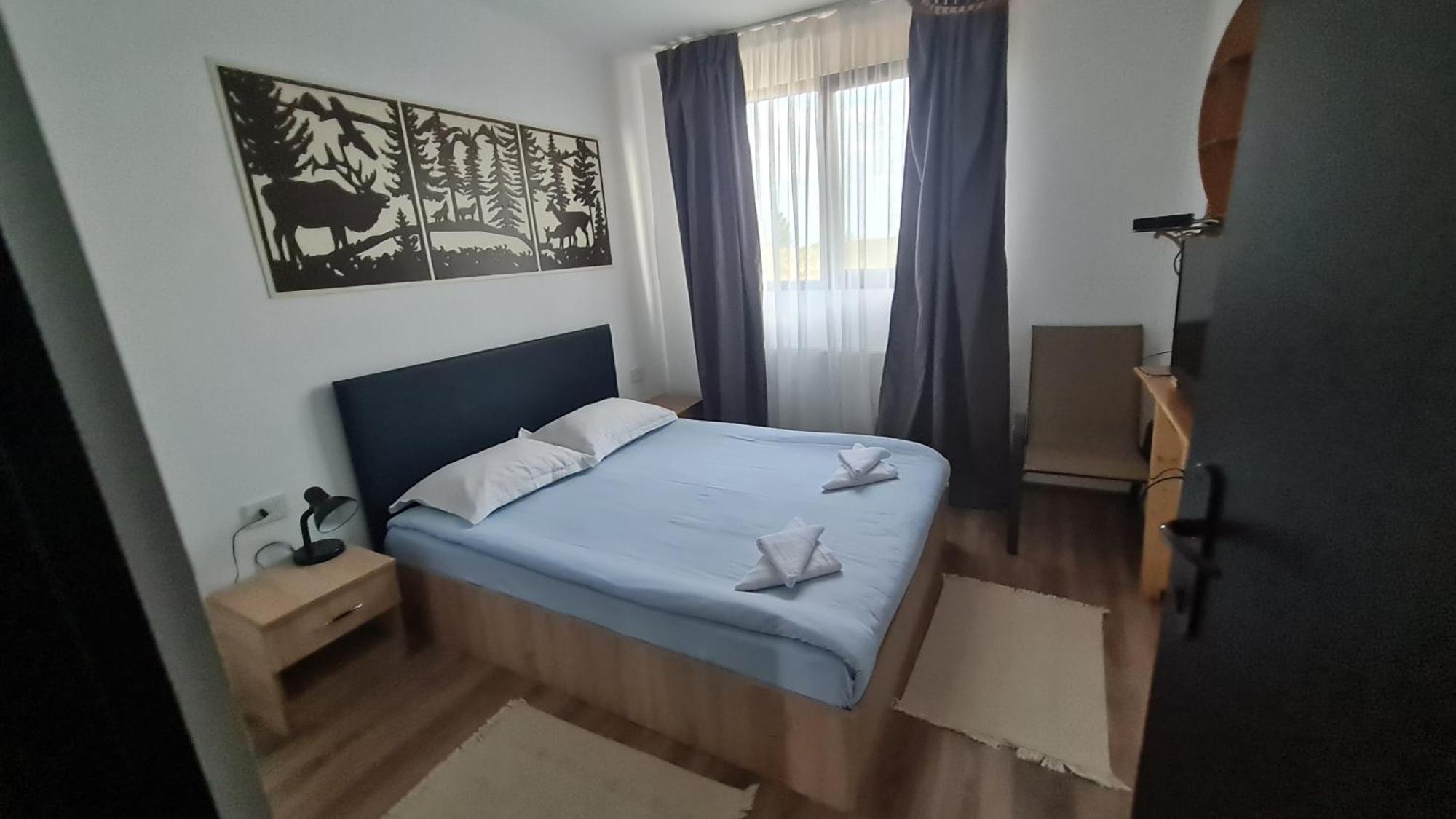 Pensiune Runcu Stone Kültér fotó